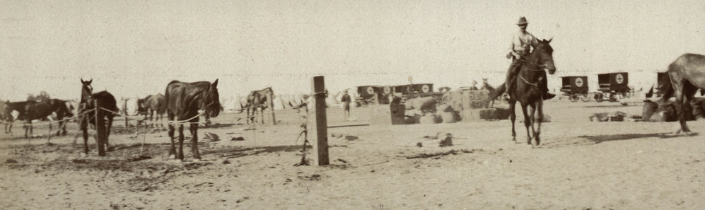 Photo from page 09 of album WWI Photograph Album- Egypt and Gallipoli