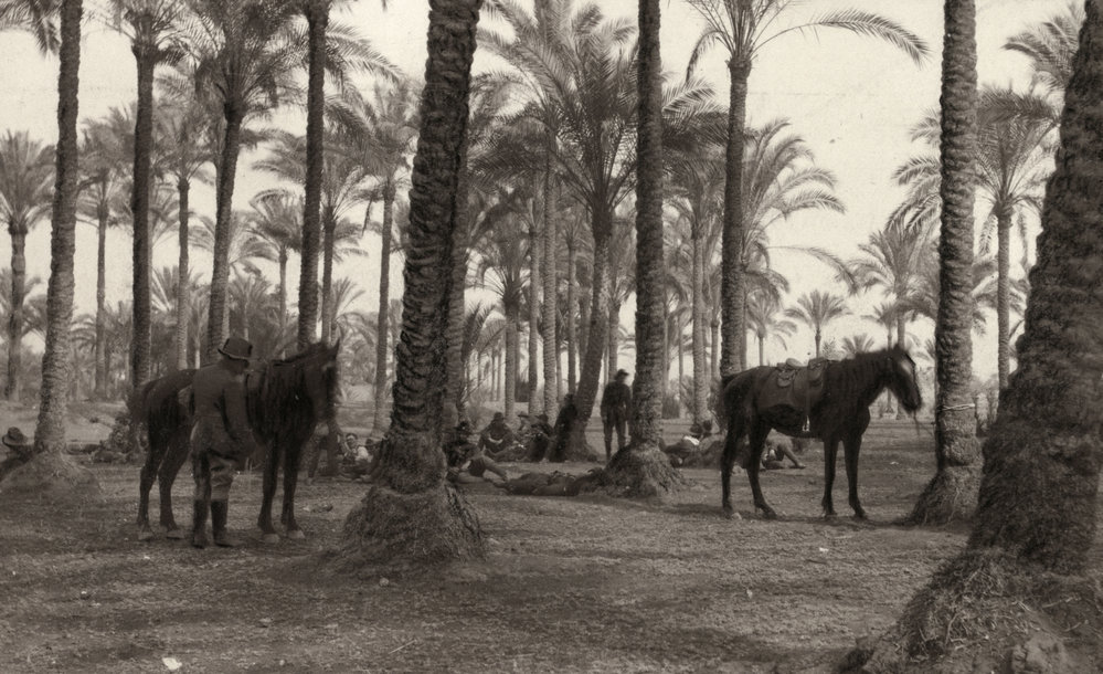 Photo from page 10 of album WWI Photograph Album- Egypt and Gallipoli