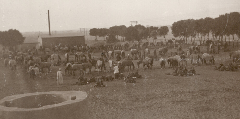 Photo from page 11 of album WWI Photograph Album- Egypt and Gallipoli