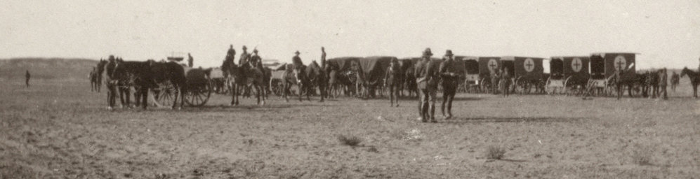 Photo from page 11 of album WWI Photograph Album- Egypt and Gallipoli