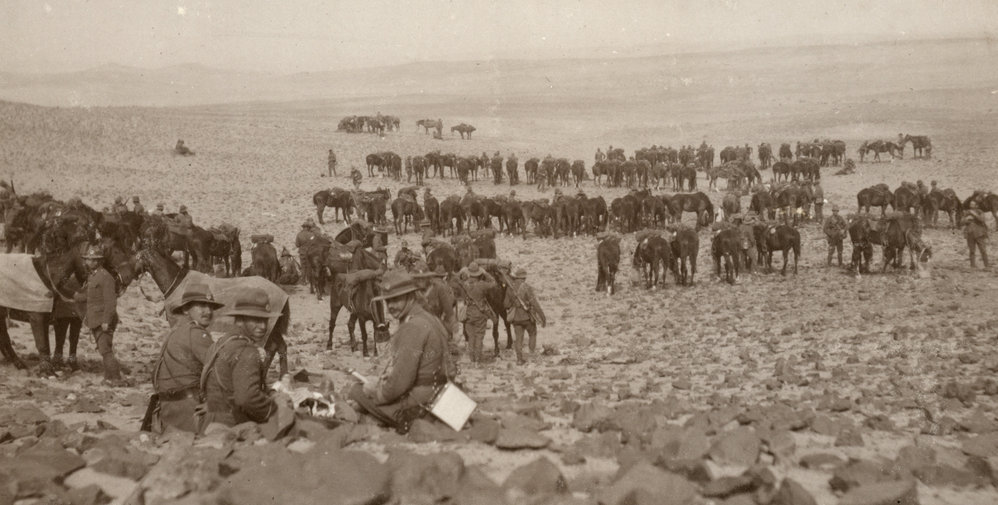 Photo from page 11 of album WWI Photograph Album- Egypt and Gallipoli