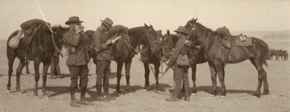 Photo from page 12 of album WWI Photograph Album- Egypt and Gallipoli