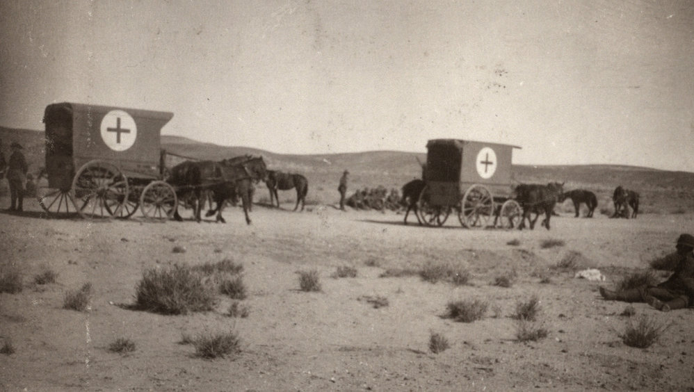 Photo from page 12 of album WWI Photograph Album- Egypt and Gallipoli