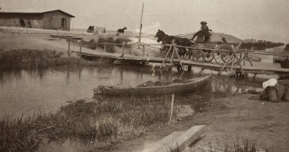 Photo from page 21 of album WWI Photograph Album- Egypt and Gallipoli