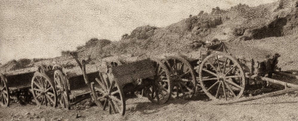 Photo from page 23 of album WWI Photograph Album- Egypt and Gallipoli