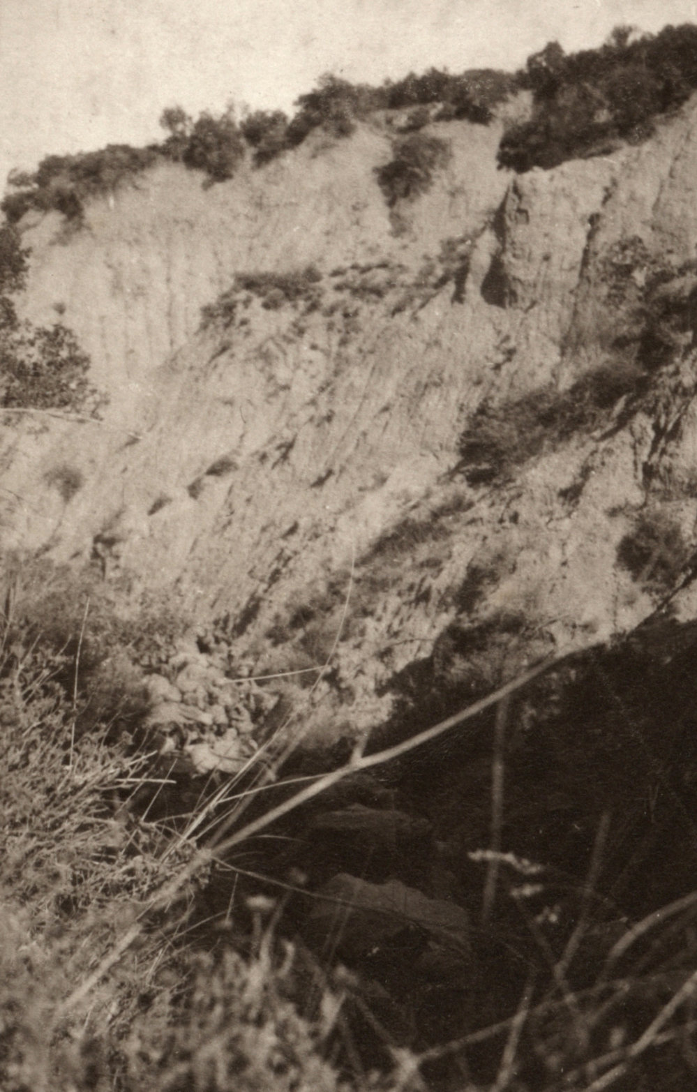 Photo from page 23 of album WWI Photograph Album- Egypt and Gallipoli