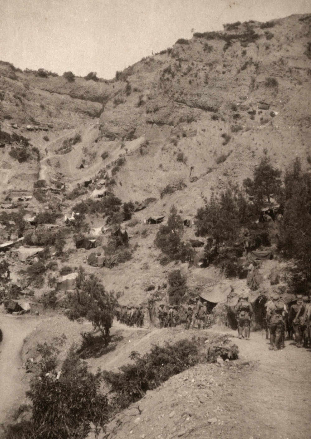 Photo from page 24 of album WWI Photograph Album- Egypt and Gallipoli