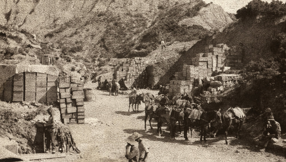 Photo from page 24 of album WWI Photograph Album- Egypt and Gallipoli