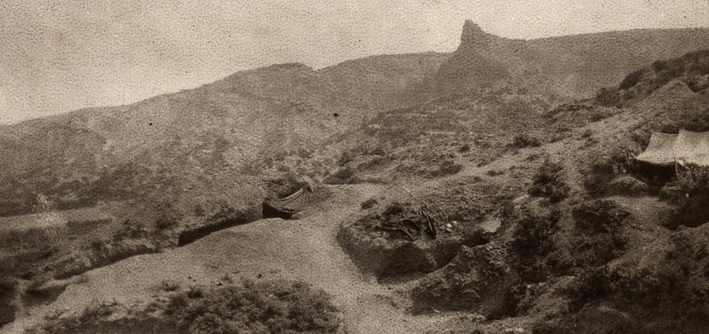 Photo from page 24 of album WWI Photograph Album- Egypt and Gallipoli