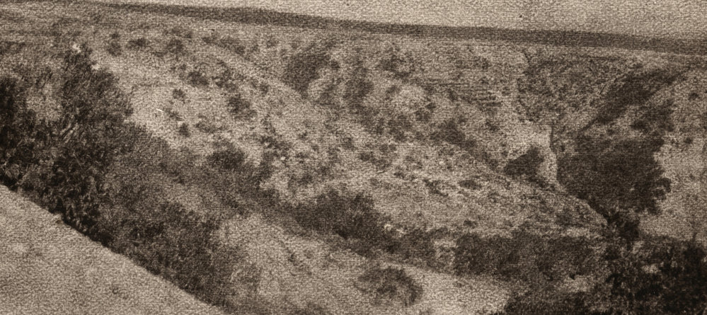 Photo from page 24 of album WWI Photograph Album- Egypt and Gallipoli