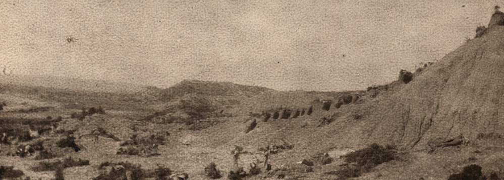 Photo from page 25 of album WWI Photograph Album- Egypt and Gallipoli