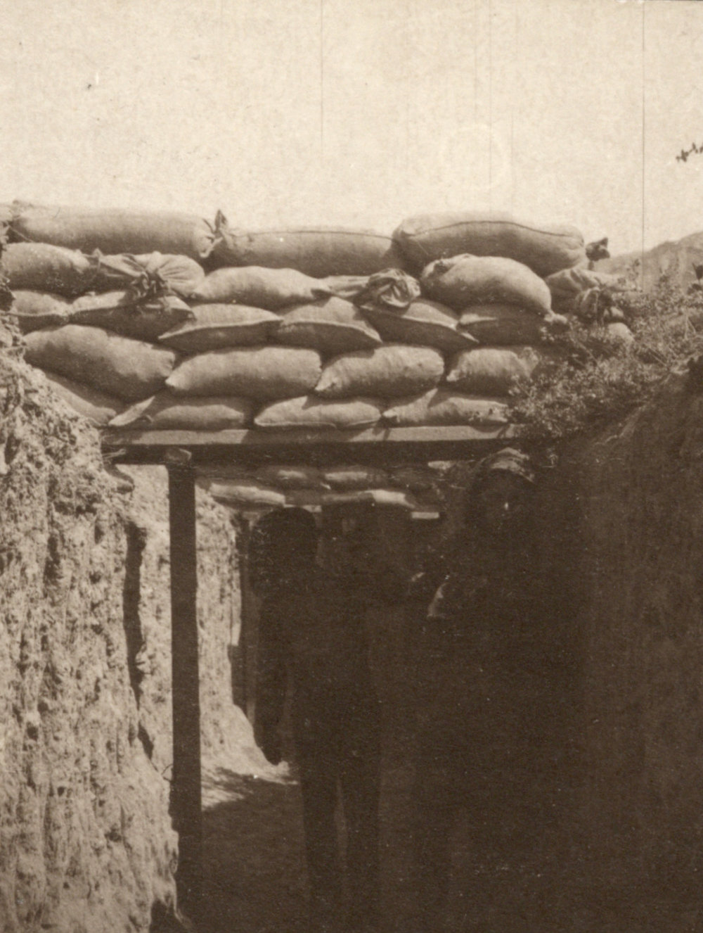 Photo from page 26 of album WWI Photograph Album- Egypt and Gallipoli
