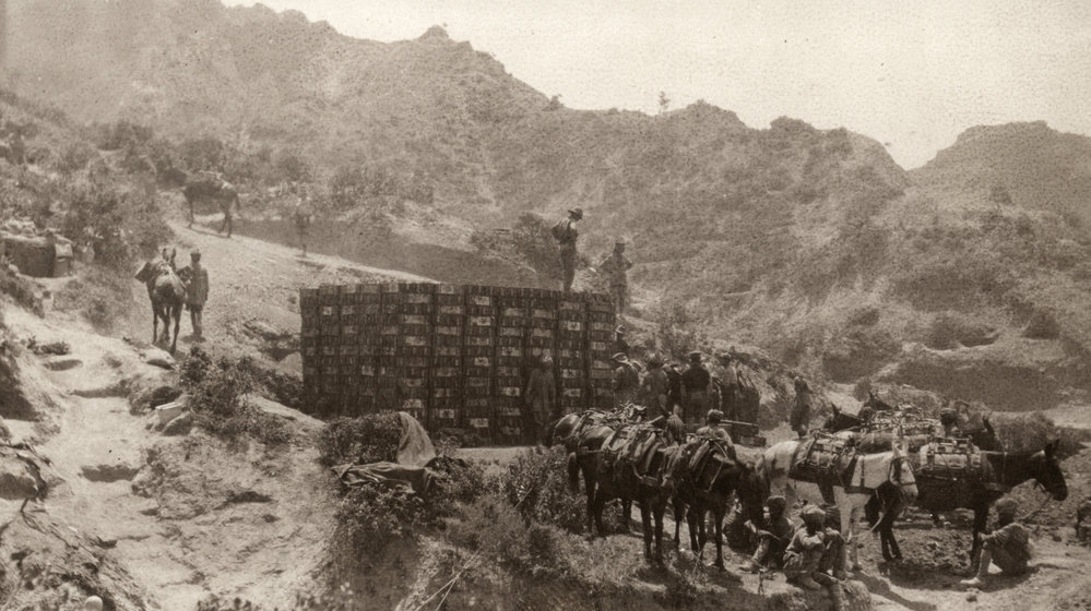 Photo from page 26 of album WWI Photograph Album- Egypt and Gallipoli
