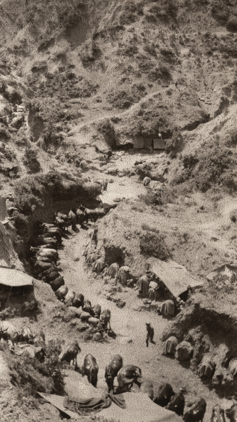 Photo from page 29 of album WWI Photograph Album- Egypt and Gallipoli