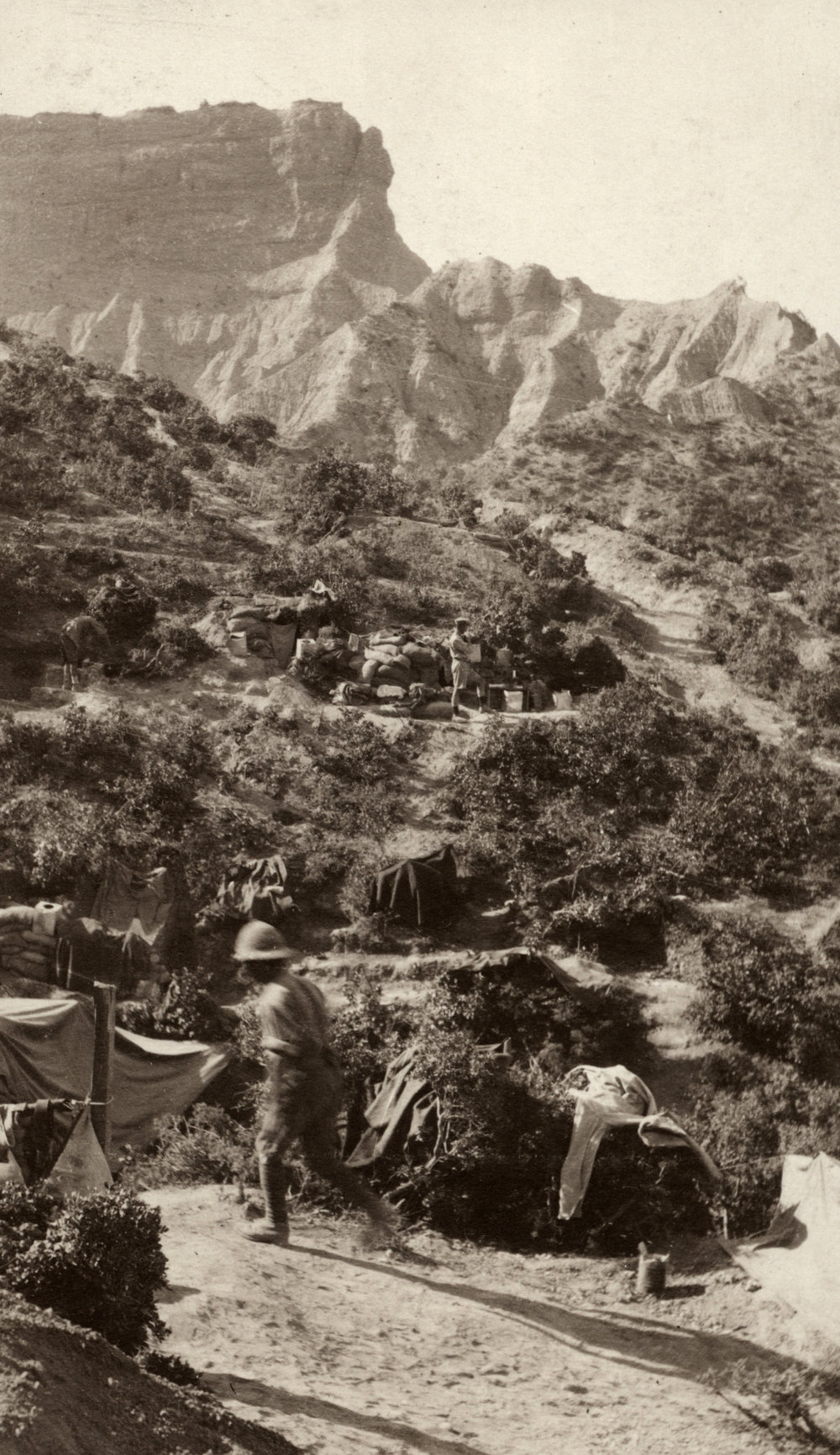 Photo from page 29 of album WWI Photograph Album- Egypt and Gallipoli