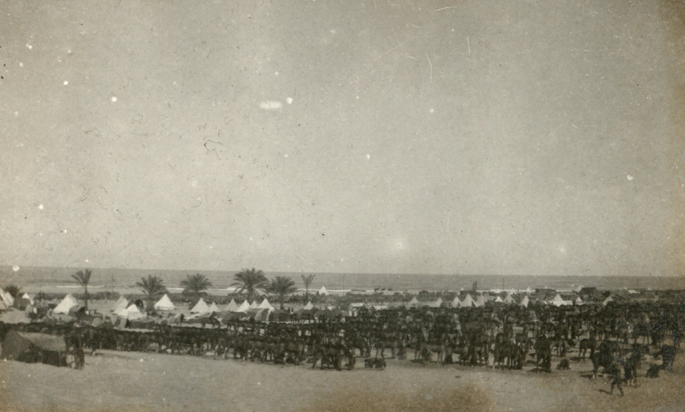 Photo from page 06 of album WWI Photograph Album- Sinai &amp; Palestine