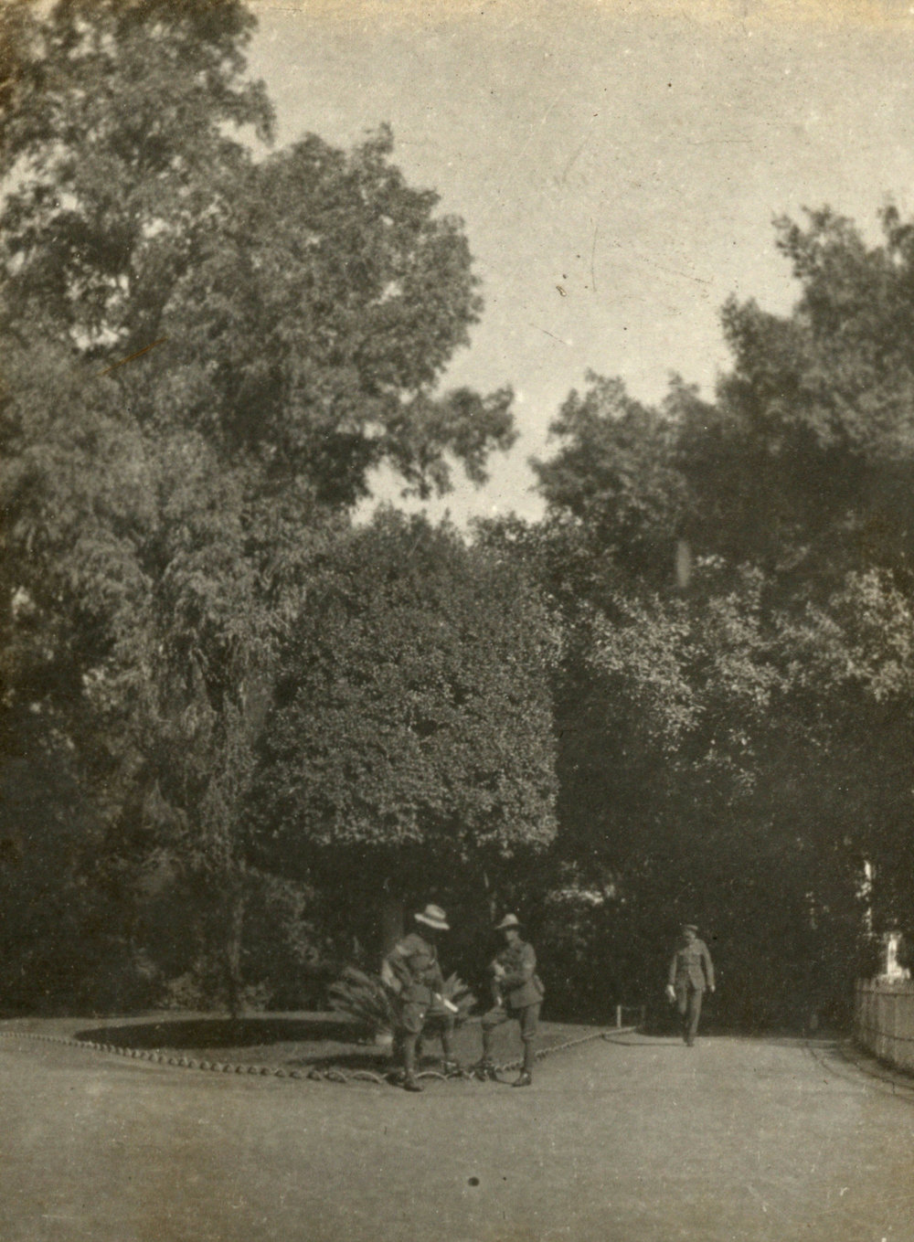 Photo from page 07 of album WWI Photograph Album- Sinai &amp; Palestine