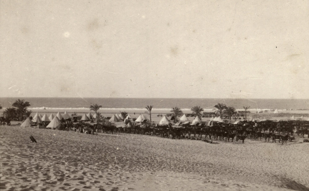 Photo from page 05 of album WWI Photograph Album- Sinai &amp; Palestine