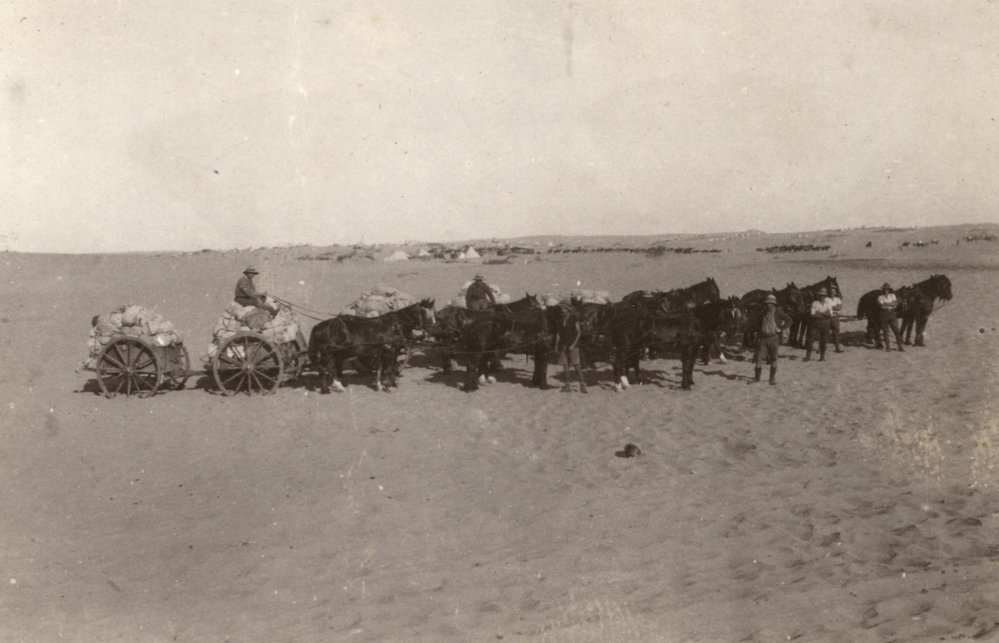 Photo from page 09 of album WWI Photograph Album- Sinai &amp; Palestine