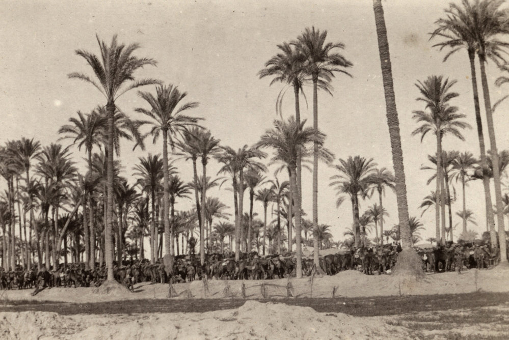 Photo from page 11 of album WWI Photograph Album- Sinai &amp; Palestine