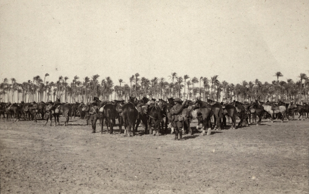 Photo from page 11 of album WWI Photograph Album- Sinai &amp; Palestine