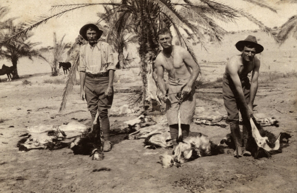 Photo from page 12 of album WWI Photograph Album- Sinai &amp; Palestine