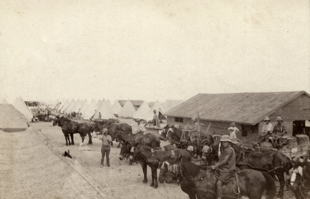 Photo from page 17 of album WWI Photograph Album- Sinai &amp; Palestine