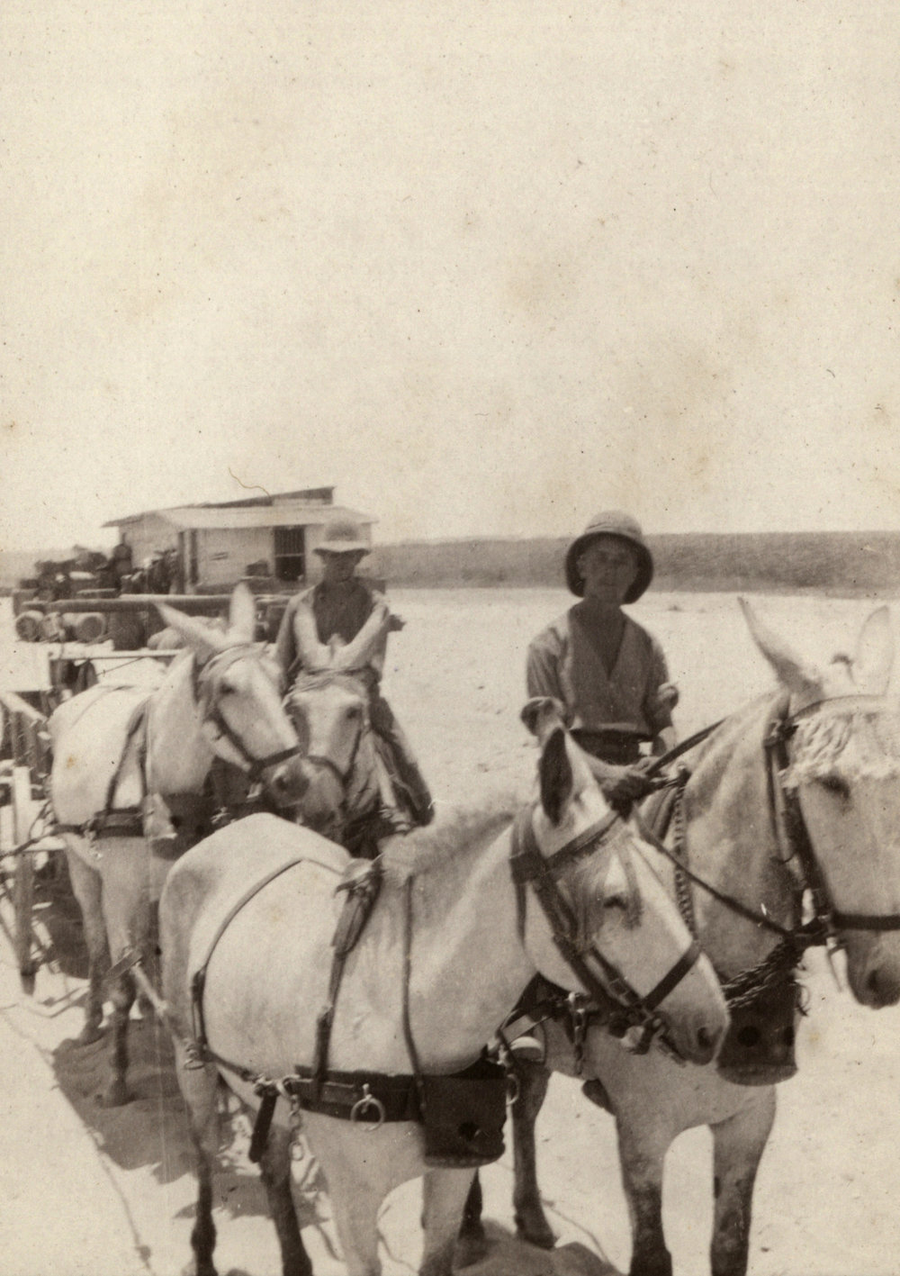Photo from page 18 of album WWI Photograph Album- Sinai &amp; Palestine
