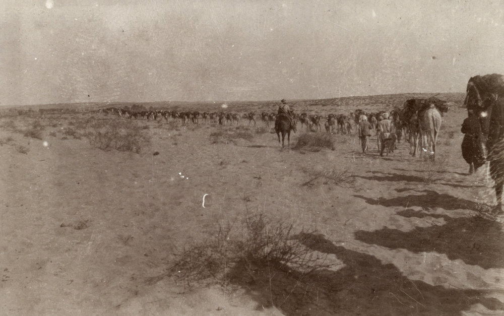 Photo from page 19 of album WWI Photograph Album- Sinai &amp; Palestine