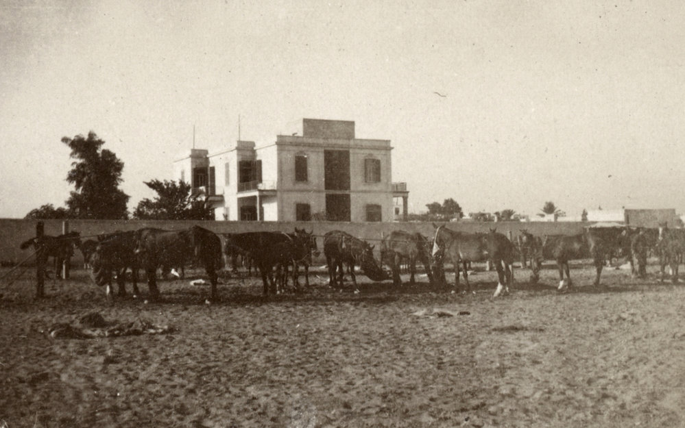 Photo from page 07 of album Photograph Album- France, Belgium and England