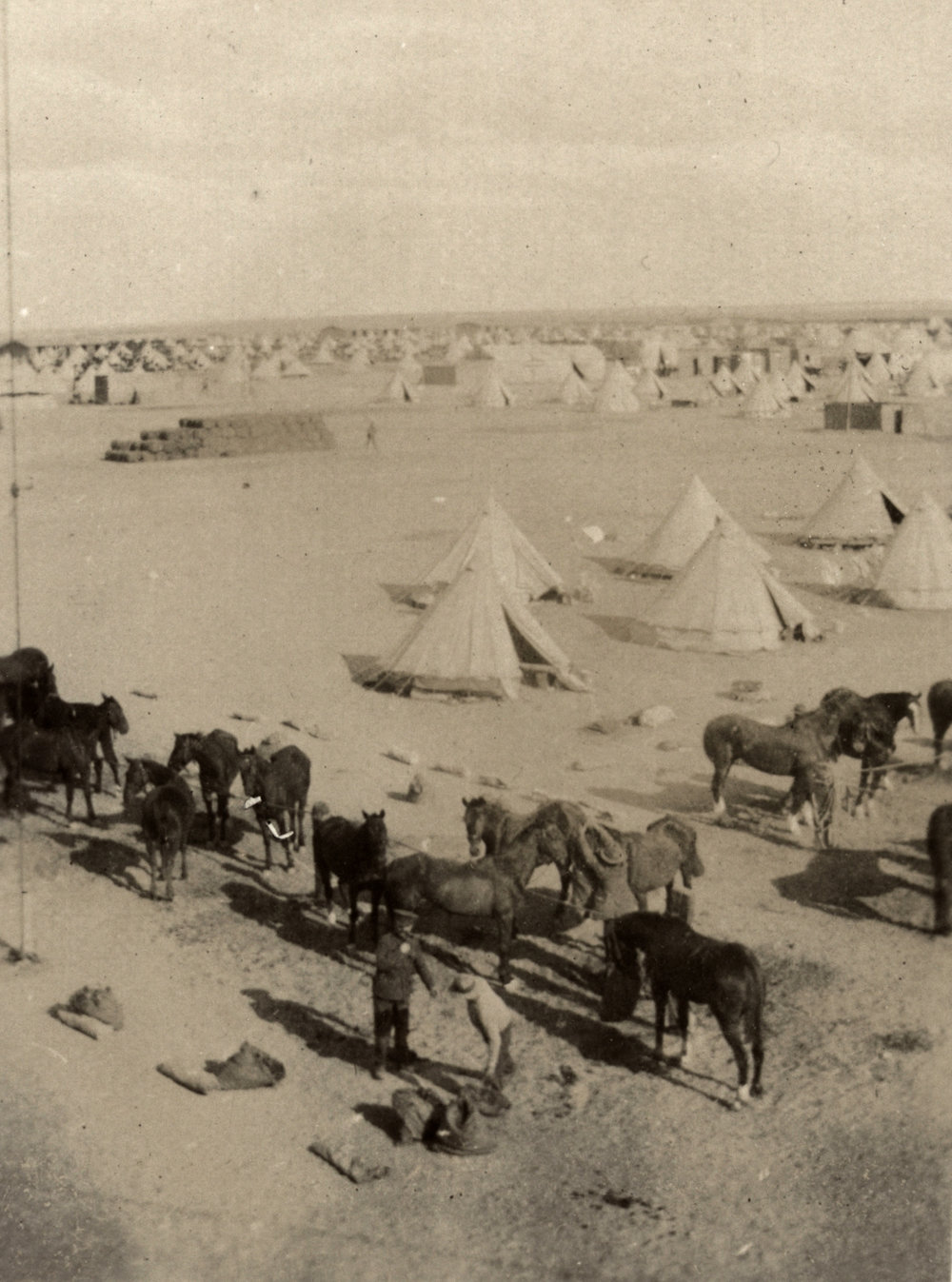 Photo from page 07 of album Photograph Album- France, Belgium and England