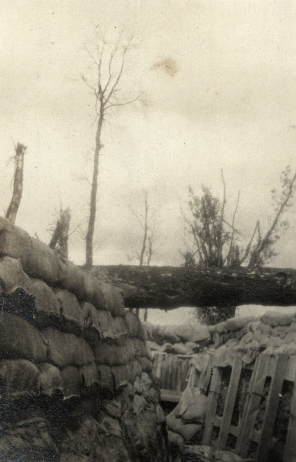 Photo from page 03 of album WWI Photograph Album- France, Belgium and England