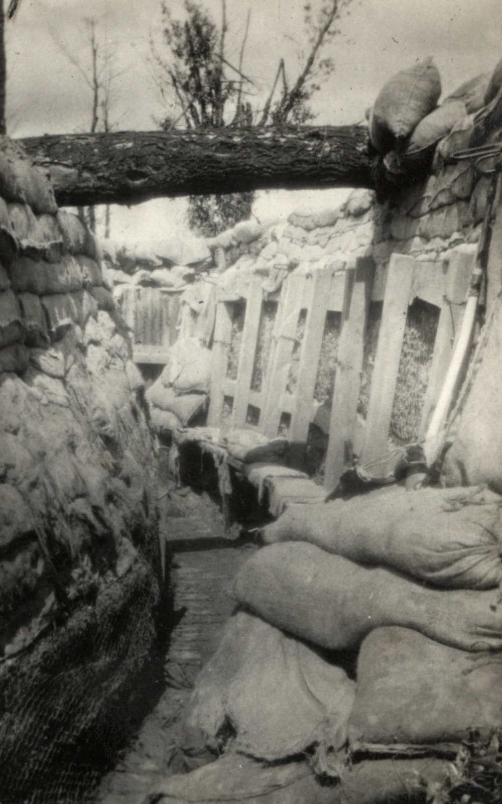 Photo from page 03 of album WWI Photograph Album- France &amp; Belgium