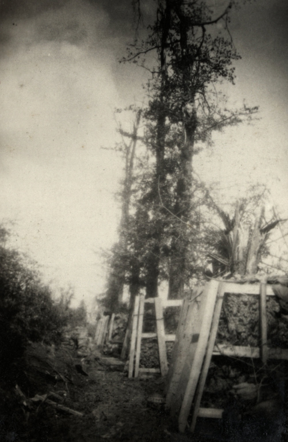 Photo from page 03 of album WWI Photograph Album- France &amp; Belgium