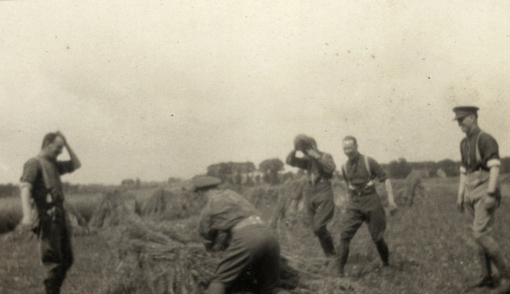 Photo from page 06 of album WWI Photograph Album- France &amp; Belgium