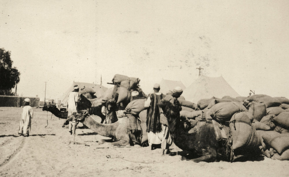 Photo from page 06 of album WWI Photograph Album- Egypt &amp; Gallipoli