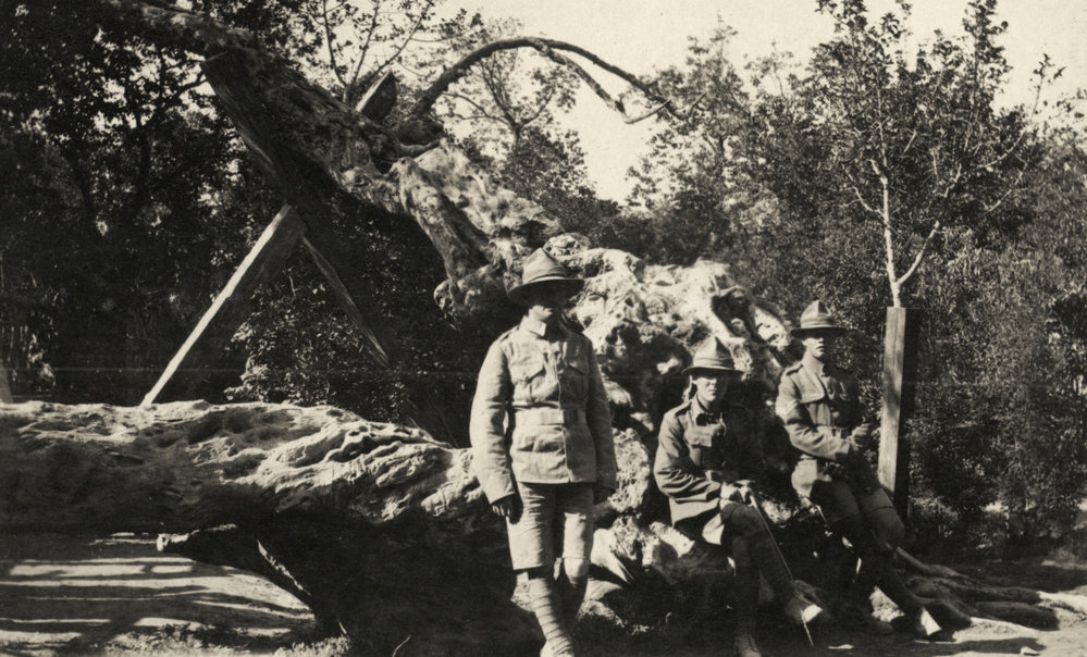 Photo from page 08 of album WWI Photograph Album- Egypt &amp; Gallipoli