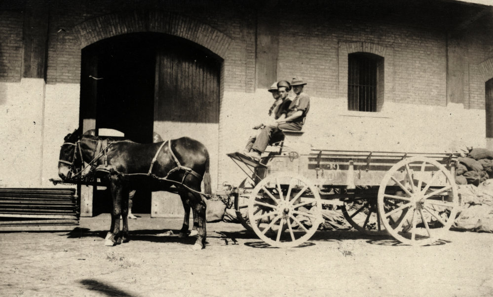 Photo from page 10 of album WWI Photograph Album- Egypt &amp; Gallipoli