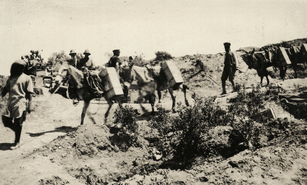 Photo from page 13 of album WWI Photograph Album- Egypt &amp; Gallipoli