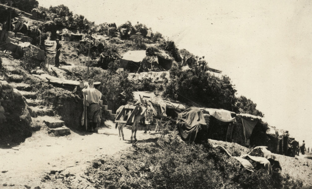 Photo from page 13 of album WWI Photograph Album- Egypt &amp; Gallipoli