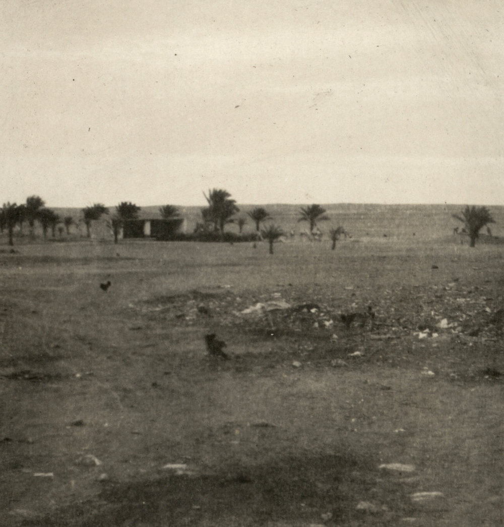 Photo from page 17 of album WWI Photograph Album- Egypt &amp; Gallipoli