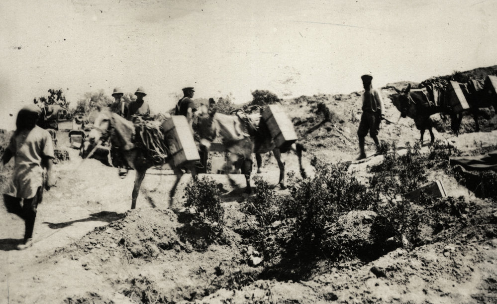 Photo from page 05 of album WWI Photograph Album- Egypt &amp; Gallipoli