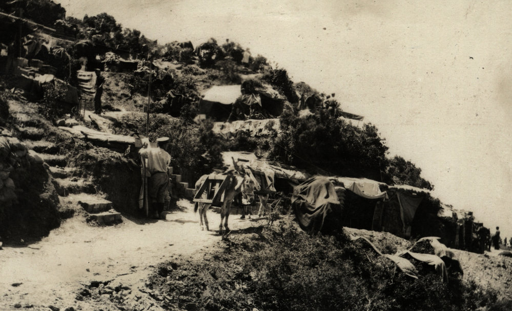 Photo from page 05 of album WWI Photograph Album- Egypt &amp; Gallipoli