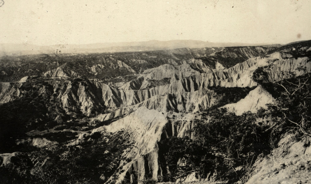 Photo from page 05 of album WWI Photograph Album- Egypt &amp; Gallipoli