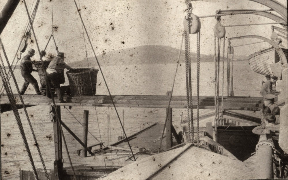 Photo from page 02 of album WWI Photograph Album- Egypt and Gallipoli