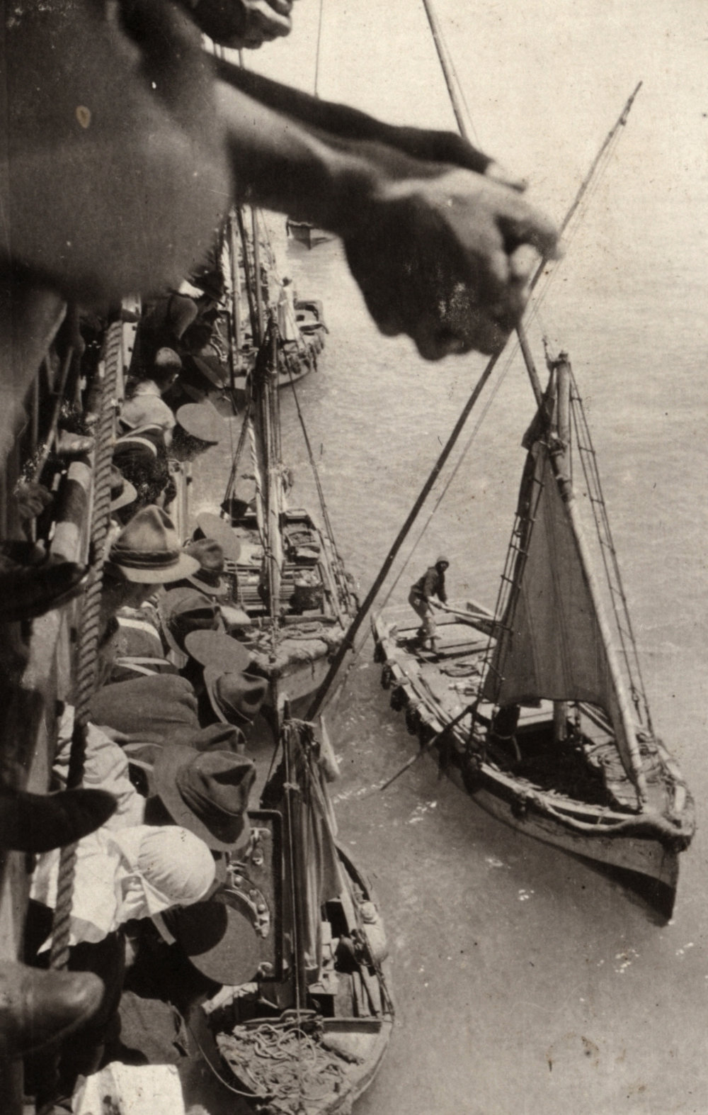 Photo from page 04 of album WWI Photograph Album- Egypt and Gallipoli