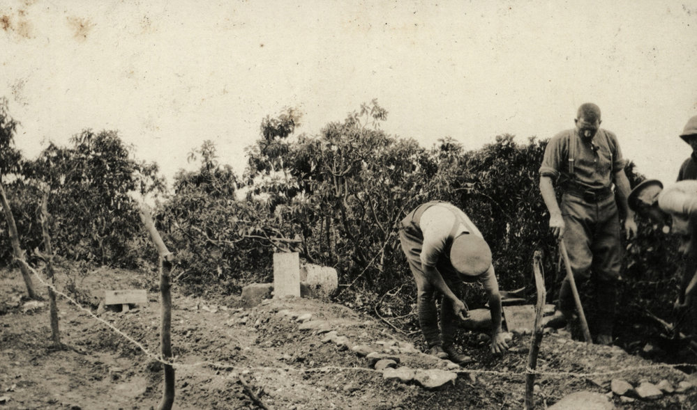 Photo from page 06 of album WWI Photograph Album- Egypt and Gallipoli