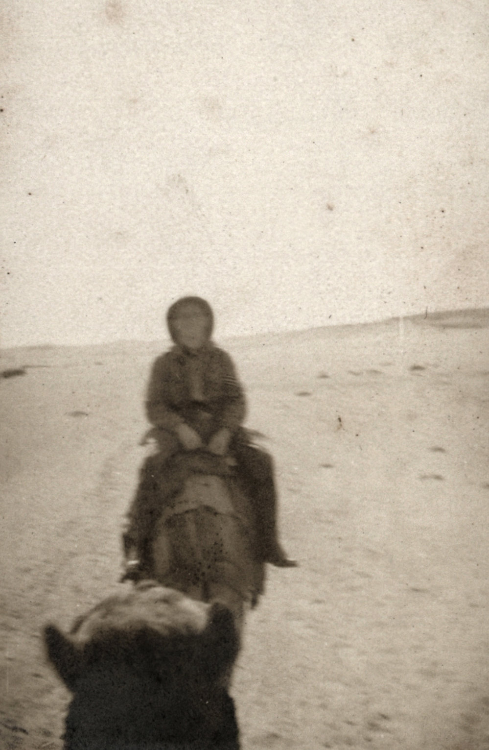 Photo from page 09 of album WWI Photograph Album- Egypt &amp; Gallipoli