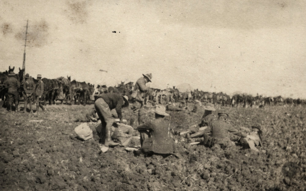 Photo from page 11 of album WWI Photograph Album- Egypt &amp; Gallipoli