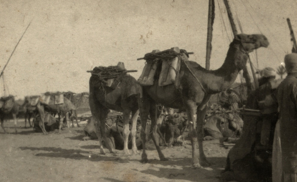 Photo from page 11 of album WWI Photograph Album- Egypt &amp; Gallipoli